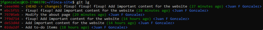 Updated commit log