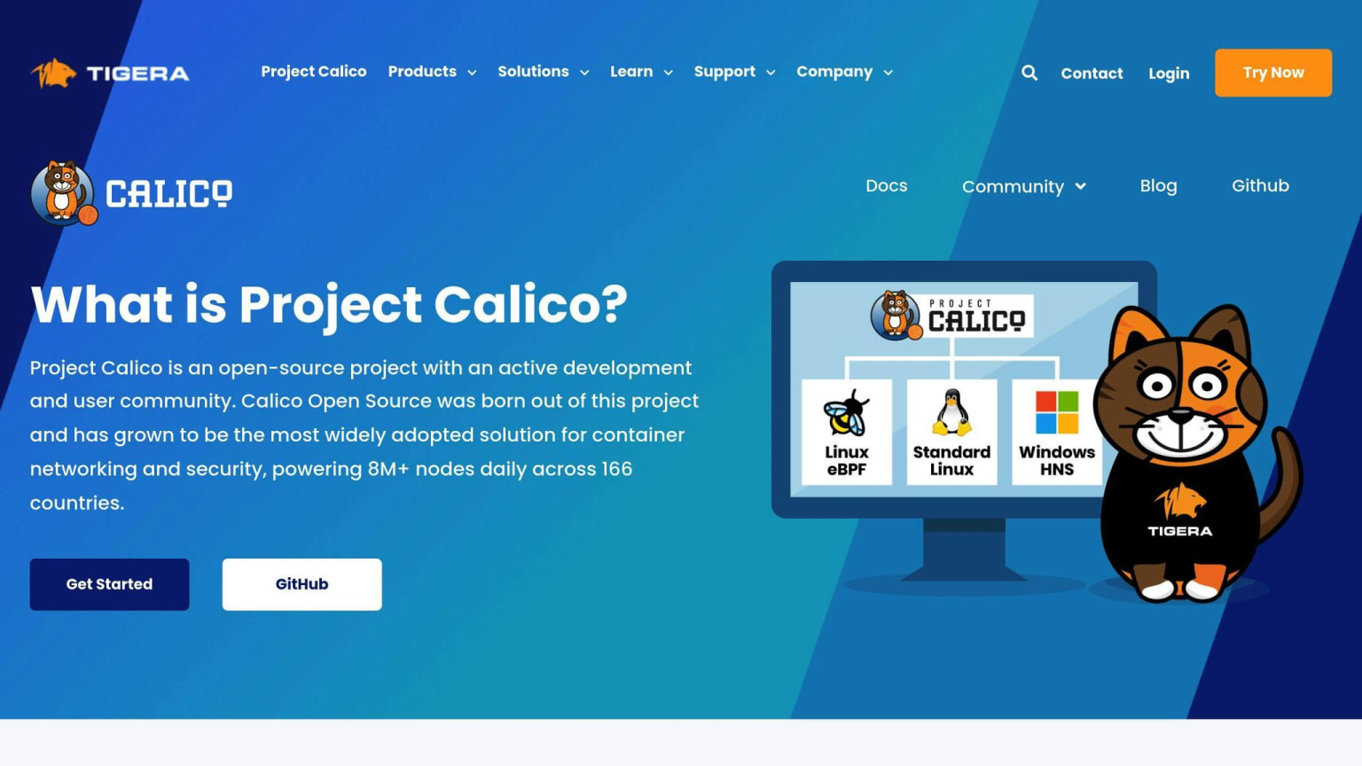Calico