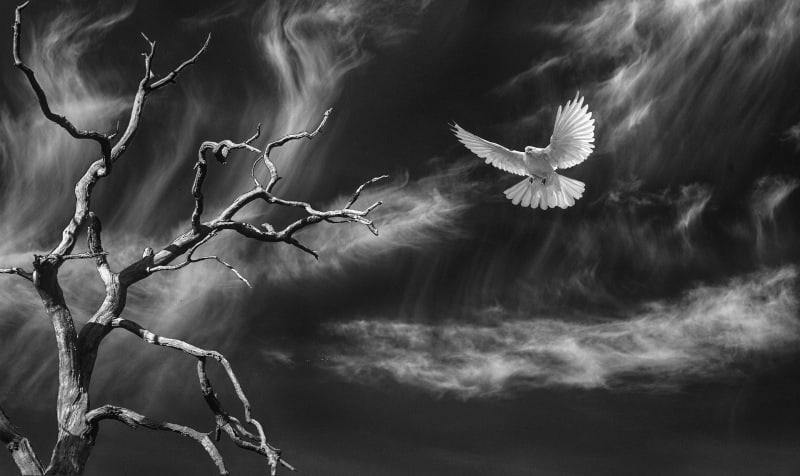 Post cover image