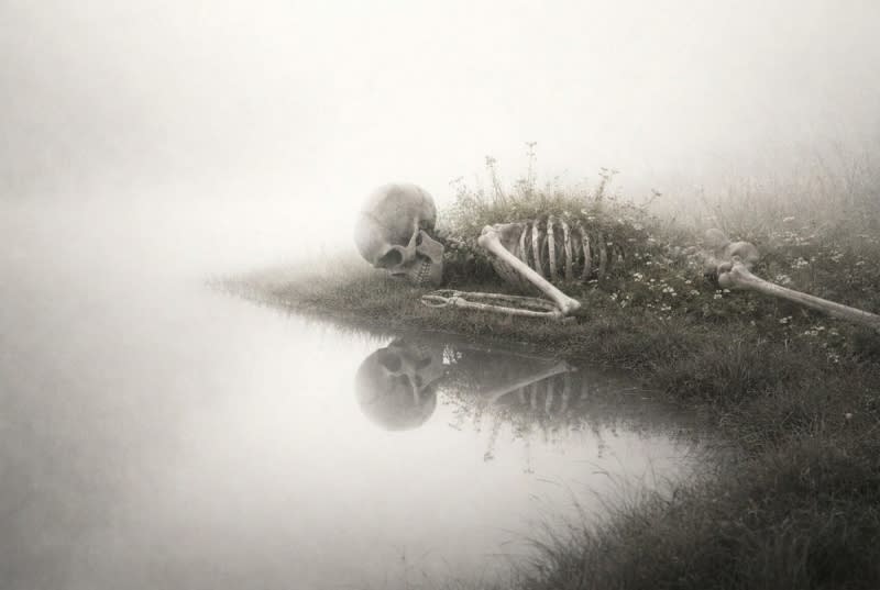 Post cover image