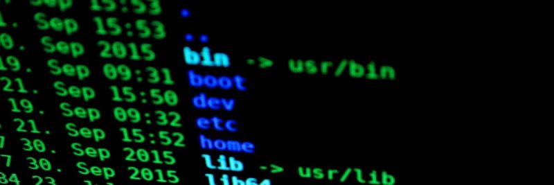 Bash Scripting: Everything you need to know about...