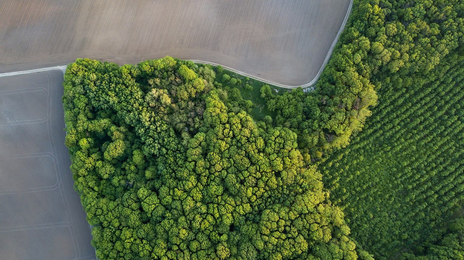 Every tree counts: Large-scale mapping of canopy height...