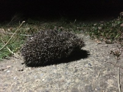 _aleksandar370144868902's user avatar