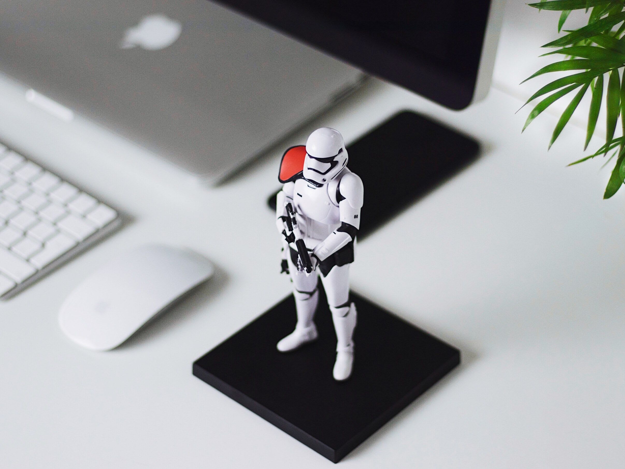 Discover Techniques to Solve Web Security Challenges