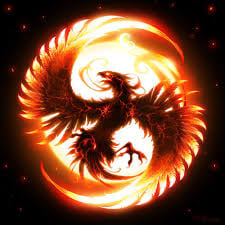 Avatar of ashishsquad