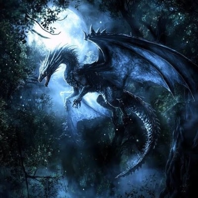 robert0615's user avatar