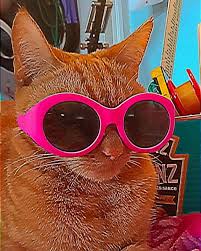 Nanbol Dassak avatar