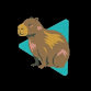 capivara's profile