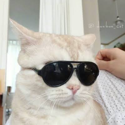 adam0122's user avatar