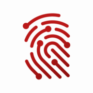 The DFIR Report's image
