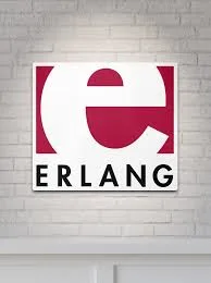 Erlang Developers