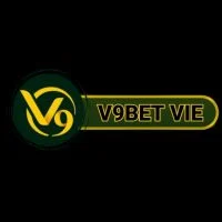 v9betviecom's profile