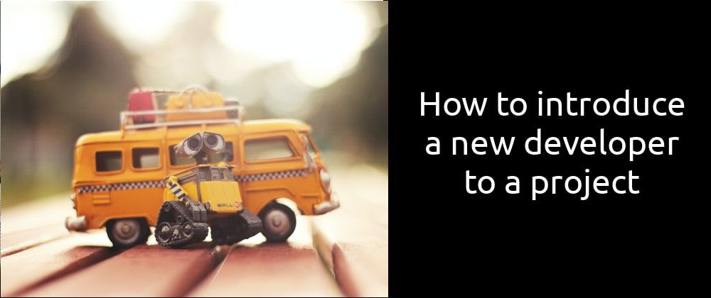 How to introduce a new developer to a project
