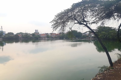 alucard0x1's profile