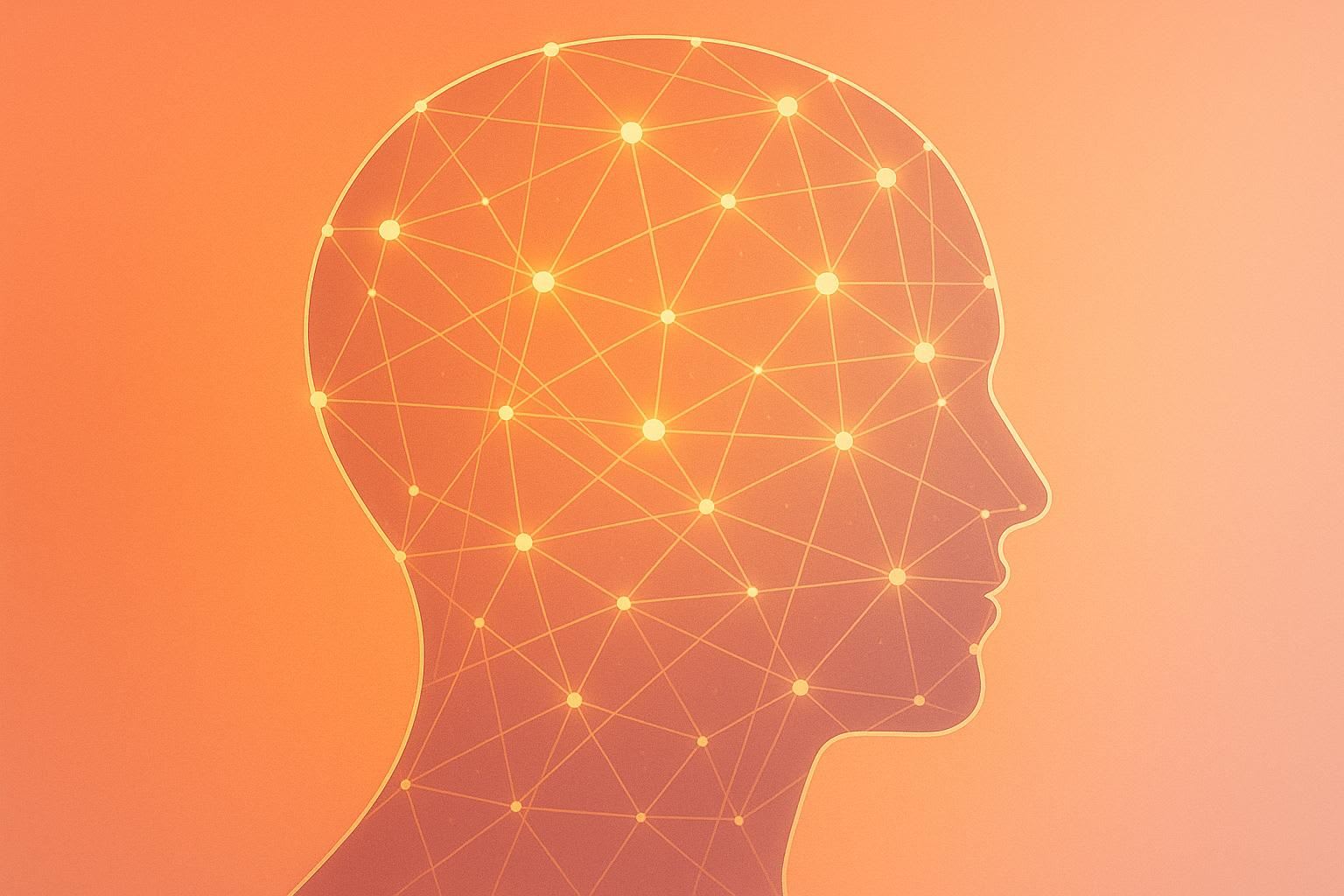 How Dynamic Ads Adjust to User Behavior