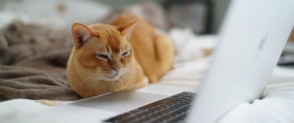 How to Watch a Coding Tutorial [and actually learn]