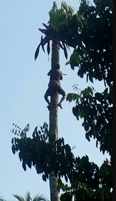 munggahdukur's profile