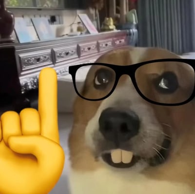davisilvarafacho's user avatar