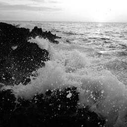 Brandur Leach's image